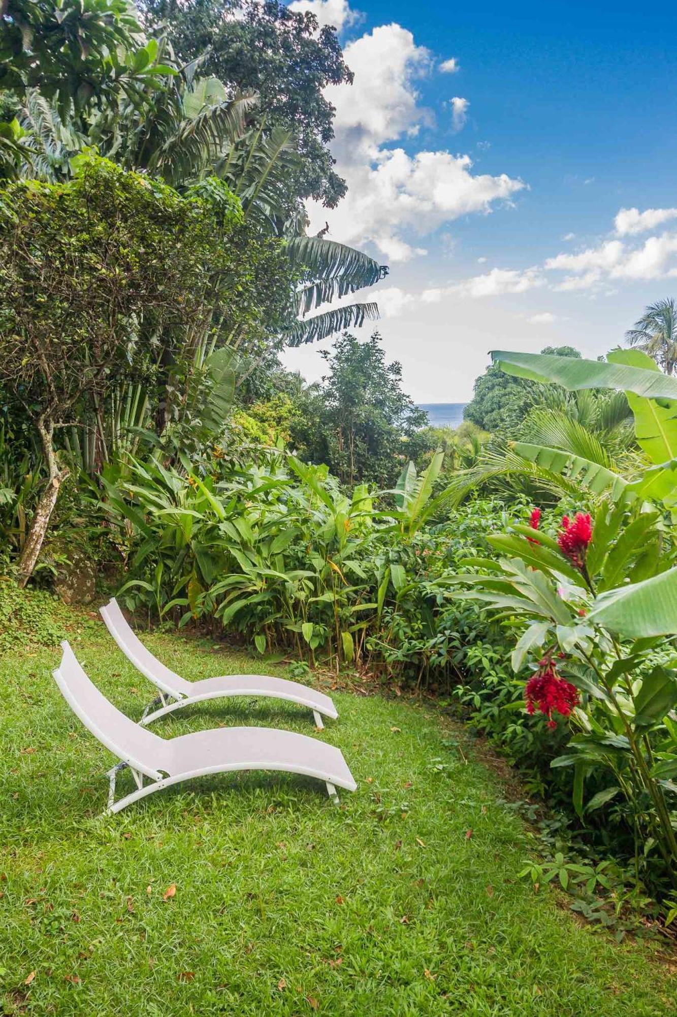 Ecolodges Karet 德赛 外观 照片