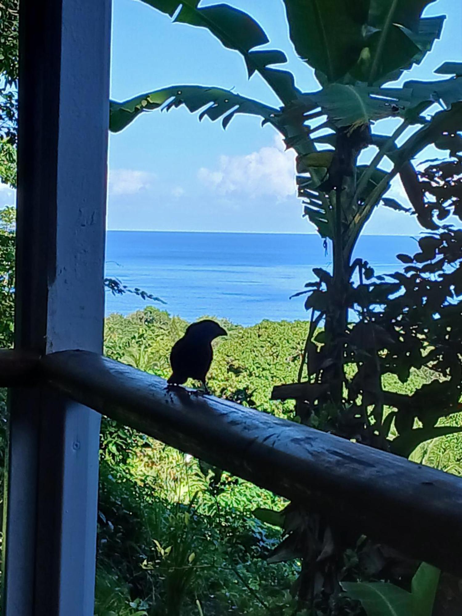 Ecolodges Karet 德赛 外观 照片